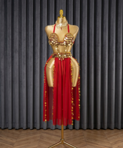 tenue de danse orientale 2 pièces